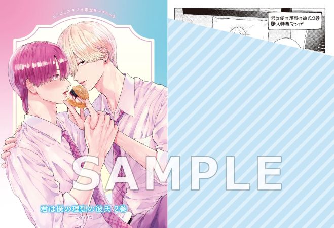君は僕の理想の彼氏（2）