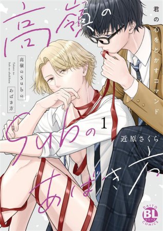 高嶺のSubのあばき方（1）君の心をとかすコマンド