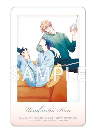 【3/末再入荷予定】美しい彼（6）【有償特典・アクリルコースター】