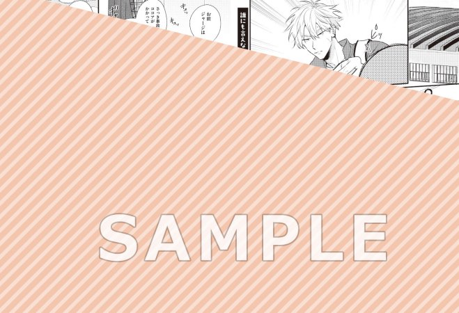 誰にも言えない放課後（単品）【3/17締切！予約キャンペーン特典：複製原画ペーパー】