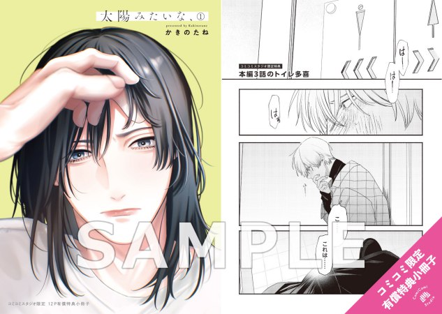 太陽みたいな、（1）【有償特典・小冊子】