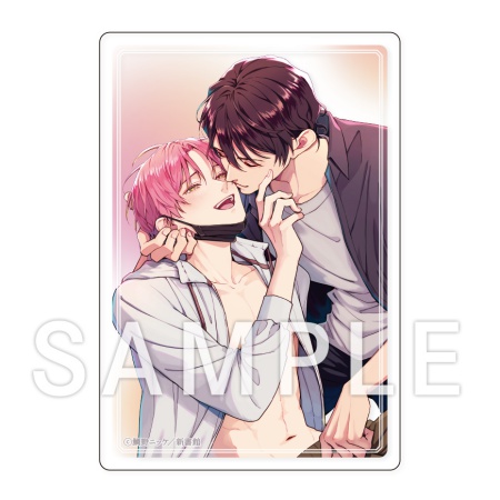 ドラマCD メルティホワイトアウト【有償特典・アクリルカード】