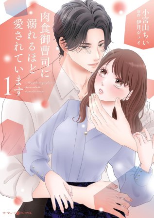 肉食御曹司に溺れるほど愛されています（1）