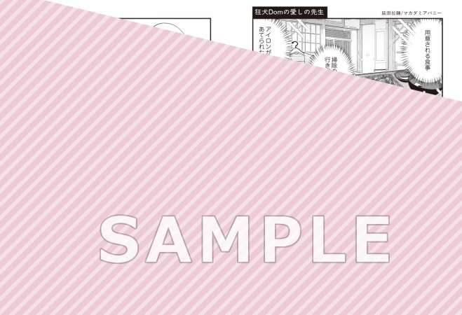 狂犬Domの愛しの先生