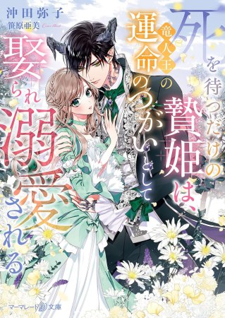 死を待つだけの贄姫は、竜人王の運命のつがいとして娶られ溺愛される