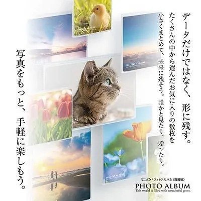 ミニポケフォトアルバム　ましかくサイズ