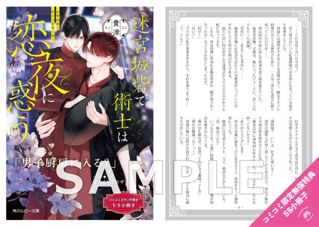 迷宮城砦で術士は恋夜に惑う