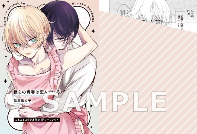 【2冊セット商品】『生徒会長とヤンキーくん 特装版』＋『僕らの青春は歪んでいる 特装版』【2冊セット有償特典・おとなの公式同人誌】【予約キャンペーン対象外・5/11から受付開始】