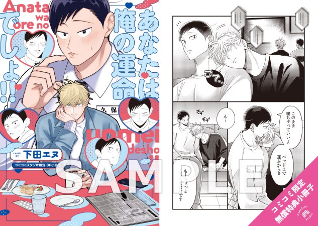 あなたは俺の運命でしょ!!（単品）