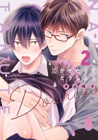 	泣かせたくてどうしよう（2）	