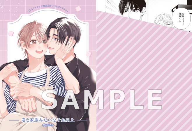 君と家族みたいなそれ以上（単品）