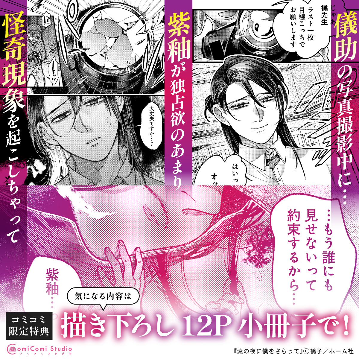 紫の夜に僕をさらって【有償特典・小冊子】 | ボーイズラブ専門販売