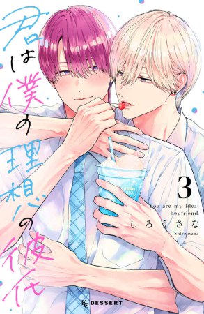 君は僕の理想の彼氏（3）