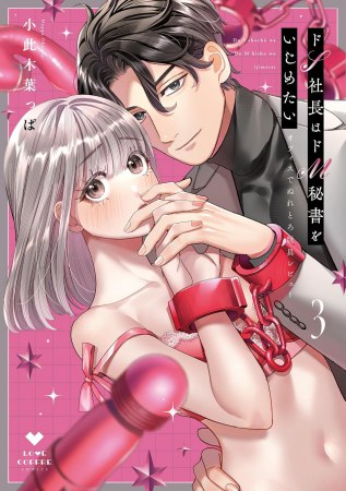 ドS社長はドM秘書をいじめたい～オフィスでぬれとろ玩具レビュー～（3）