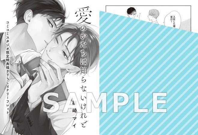 愛のかたちは知らないけれど（単品）