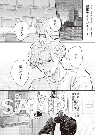 朧夜ナイトレイド（2）