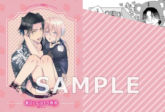 真白くんはトラ専用【有償特典・アクリルカード】
