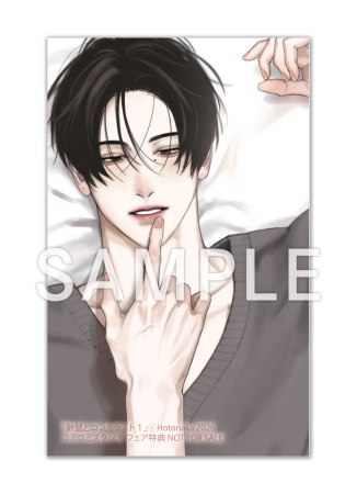 針鼠とコントラスト（1）【「針鼠とコントラスト」完結記念！既刊フェア・対象商品】