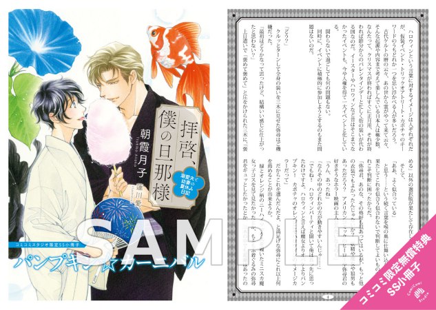 拝啓、僕の旦那様―溺愛夫と幼妻の夏休み日記―（単品）