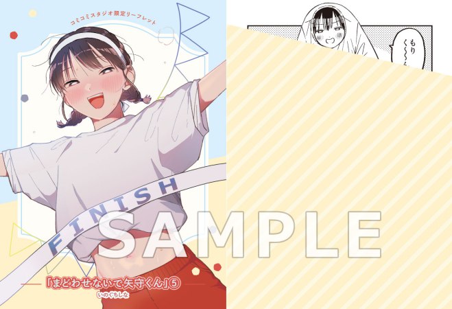 まどわせないで矢守くん（5）（単品）【予約キャンペーン対象外・10/6から受付開始】
