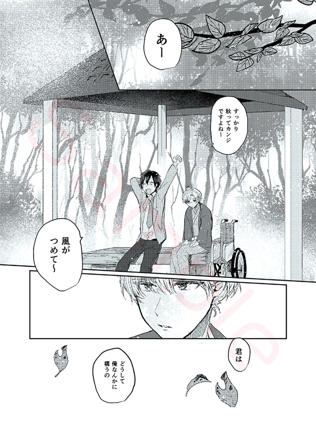 親愛なる深山先生へ・総集編