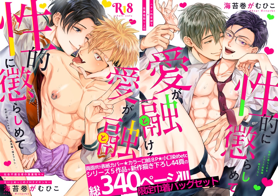 【バッグ付き】性的に懲らしめて愛が融ける本【せいこら総集編Vol.1】