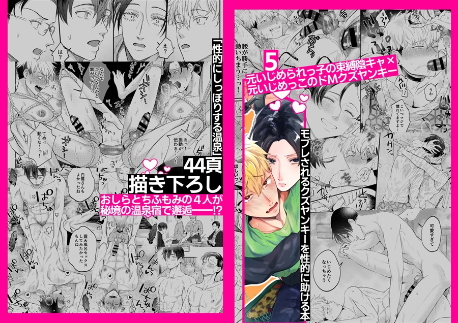 【バッグ付き】性的に懲らしめて愛が融ける本【せいこら総集編Vol.1】