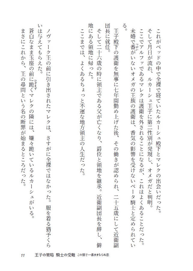 【小説】王子の策略 騎士の受難 この世で一番ままならぬ恋【特典付】