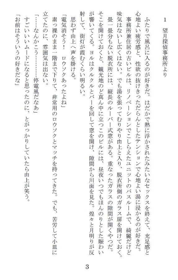 【小説】追っかけ転生してないけど“異世界探偵”になりました