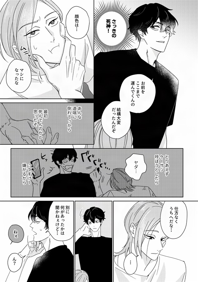 探偵と迷い猫【特典付】