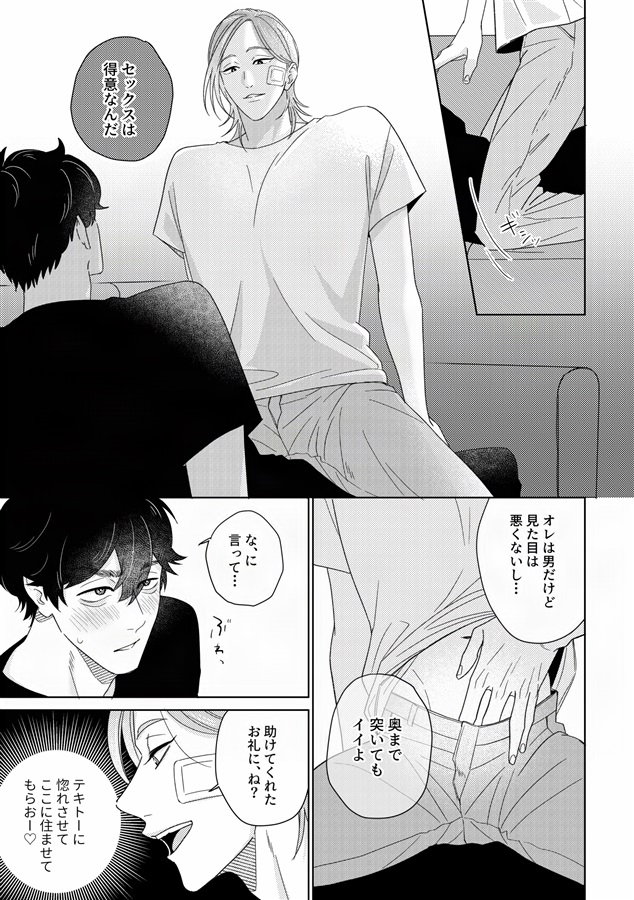 探偵と迷い猫【特典付】