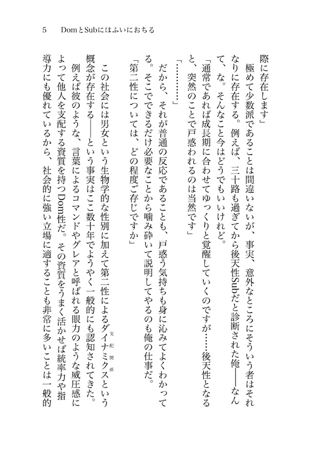 【小説】DomとSubにはふいにおちる【特典付】