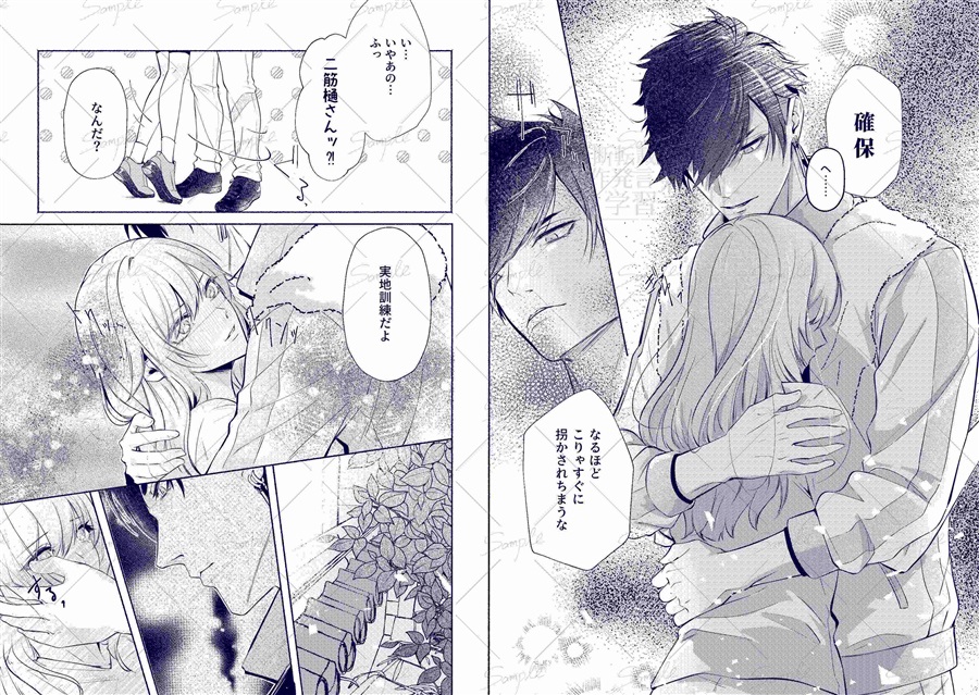 正しいアナタのしつけかた