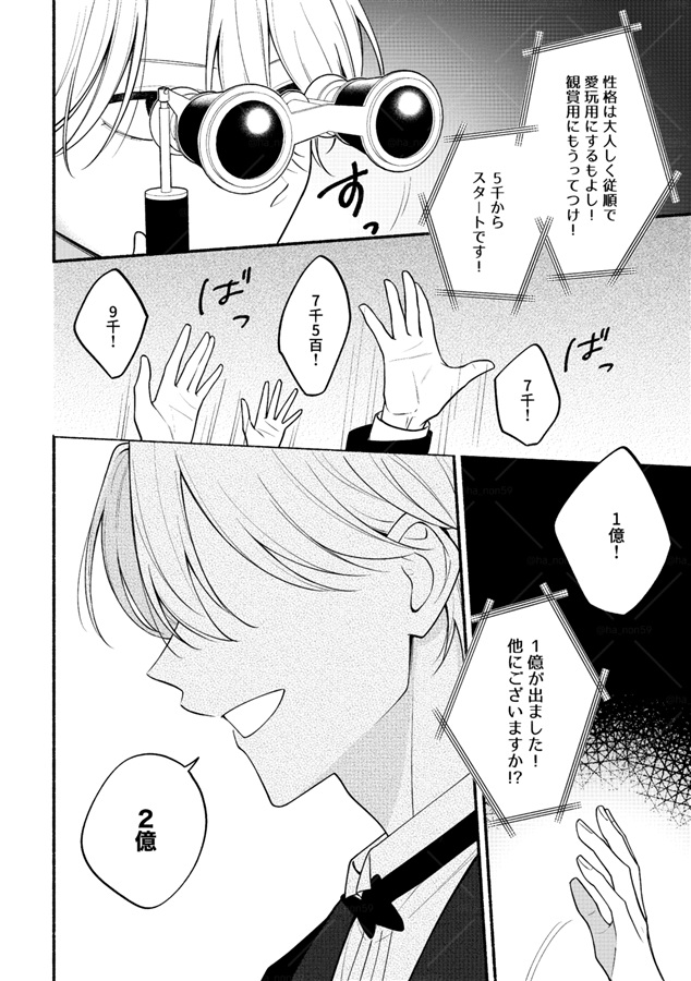 理想の恋人オークション