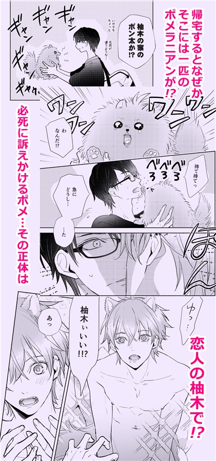ifUNIVERSE飢～カップルたちを〇〇バースにしてみた～【特典付】