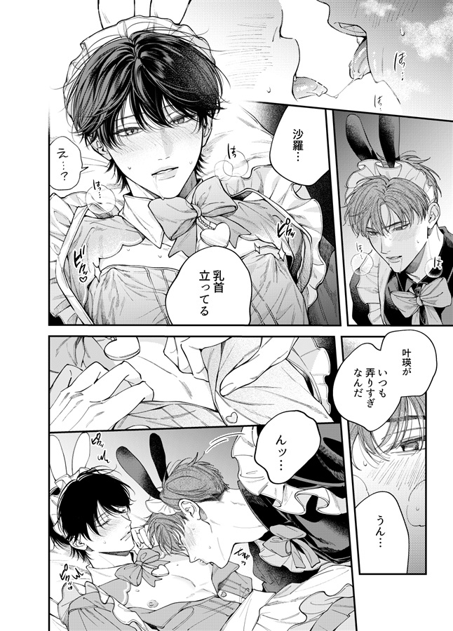 ワンナイトドリーム