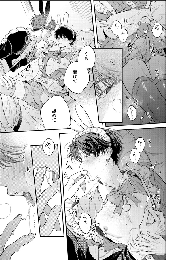 ワンナイトドリーム